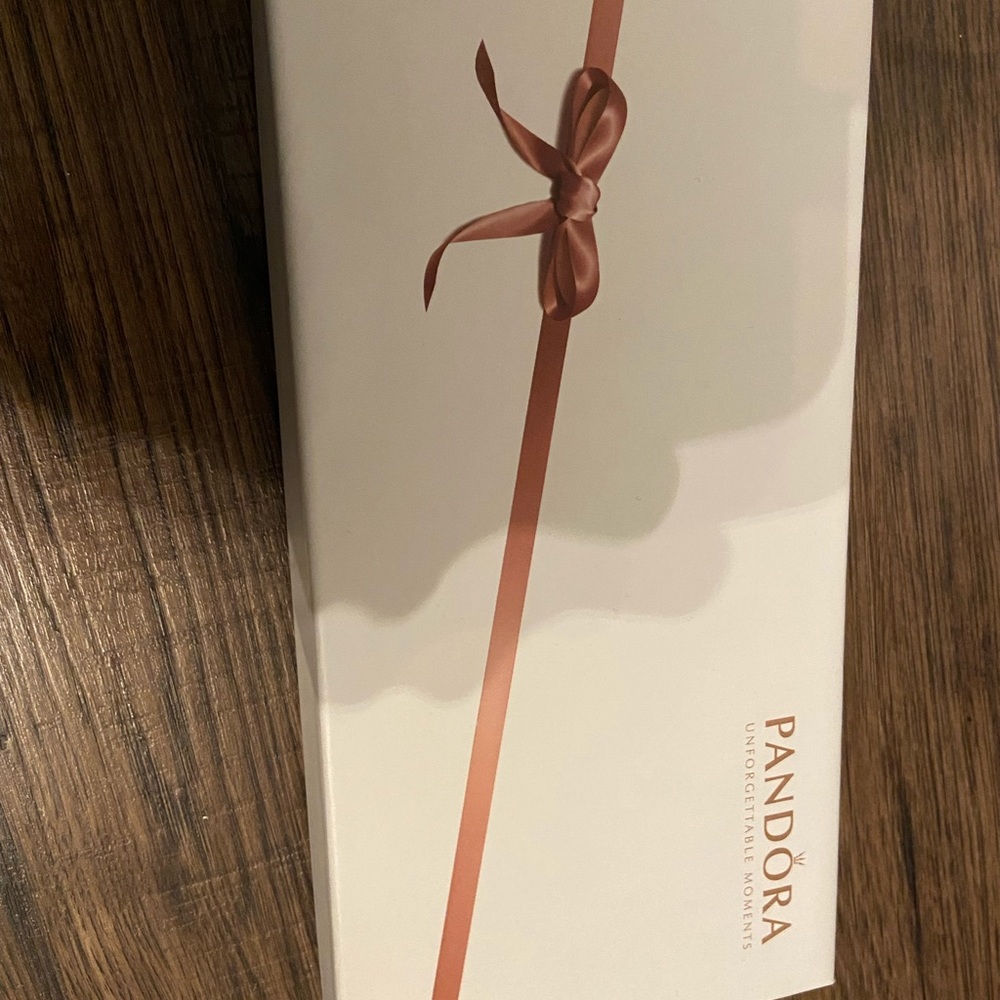 NWOT Pandora Jewellery Case